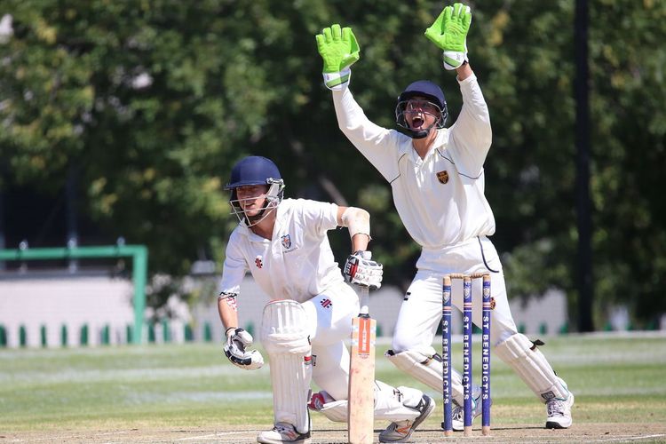 Why Sponsor a Cricket Franchise in Europe?
